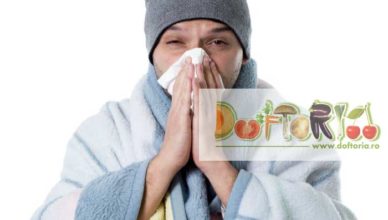 gripa doftoria