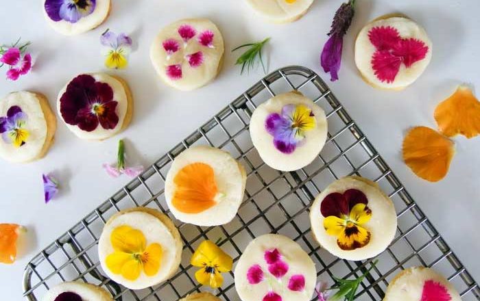 Flori de primăvară care se pot mânca doftoria