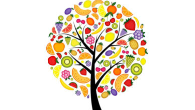 alimente pentru energie doftoria