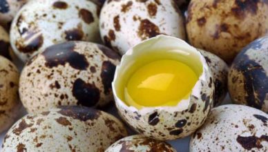 Ouăle de prepeliță doftoria