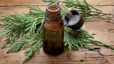 Ulei de chiparos pentru crampe musculare doftoria