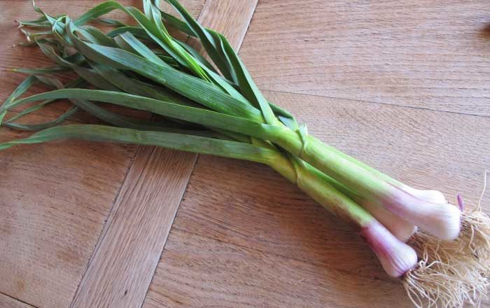usturoi verde