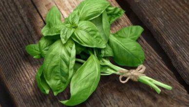 Infecţii respiratorii