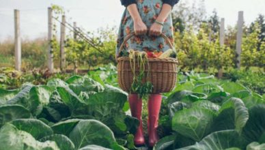 Reumatism articular cura