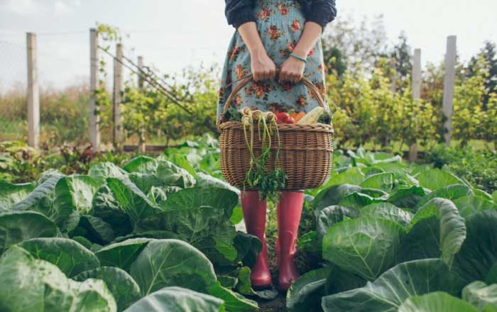 Reumatism articular cura