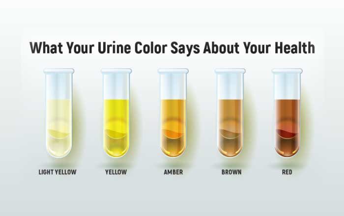 urina este eliberată după urinare)