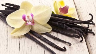 plantă pentru oboseală