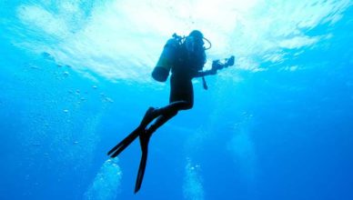 boala de cheson simptome ce este