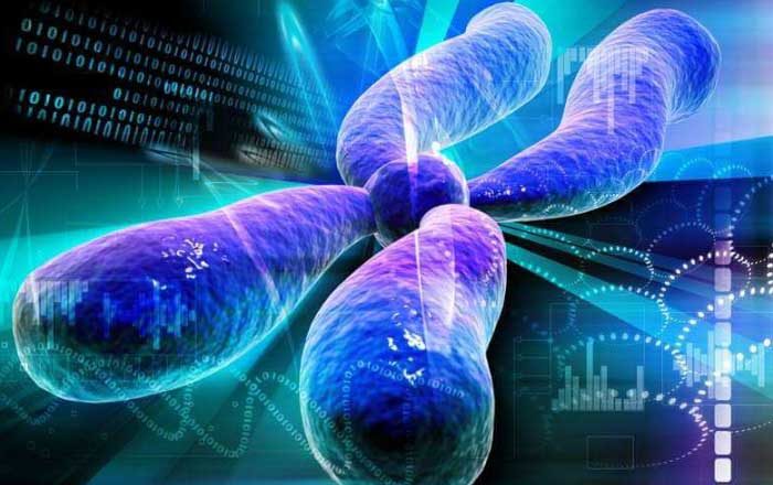Distrofia musculară Duchenne