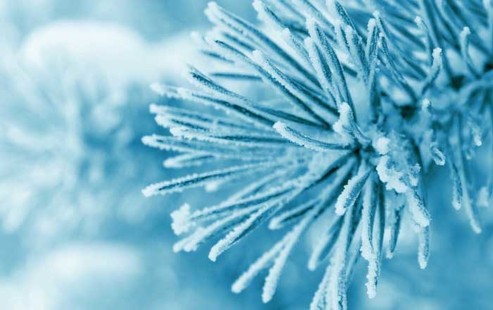 Cum ne afectează frigul