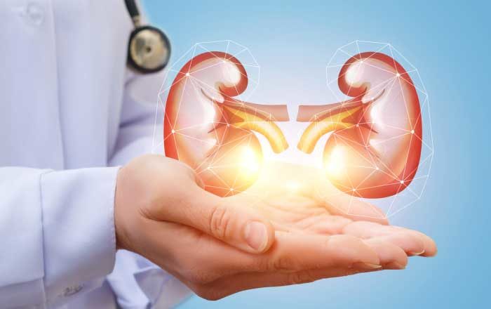 Simptome pietre la rinichi