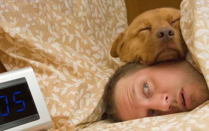 minimum 7 ore pe noapte