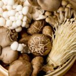 Tratamente cu ciuperci: beneficii și contraindicații