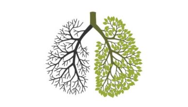 Remedii pentru plămâni