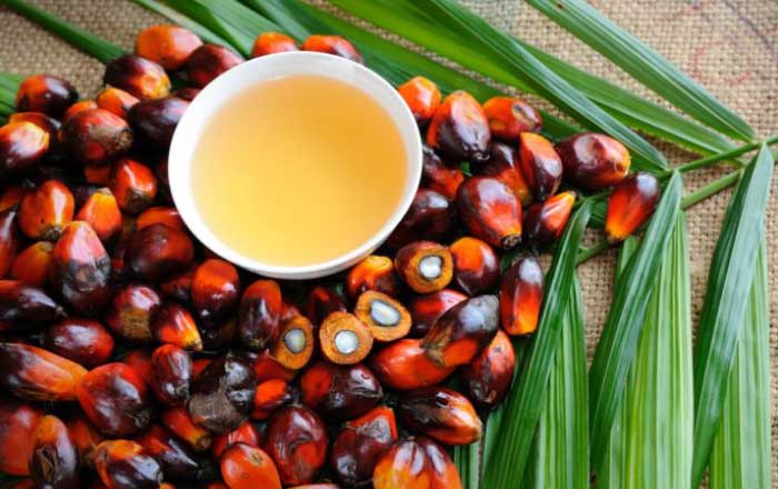 varicoza i ulei de palmier este varicoza i dieta dukana